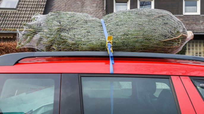 Come trasportare l’albero di Natale senza prendere multe