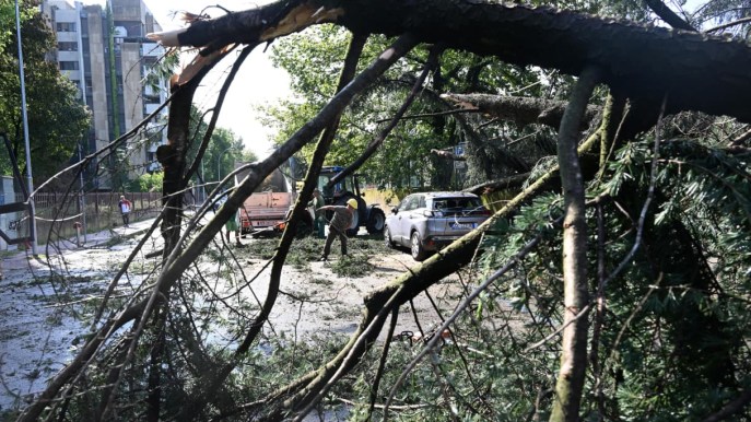 Maltempo nord Italia, alberi distruggono auto: chi paga